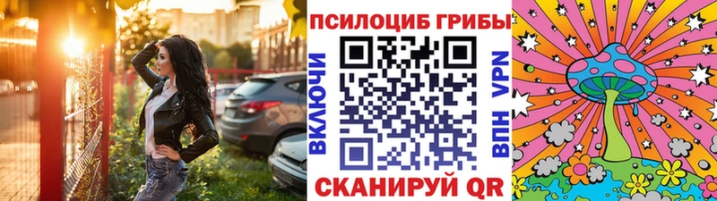 Псилоцибиновые грибы Magic Shrooms  сколько стоит  Истра 